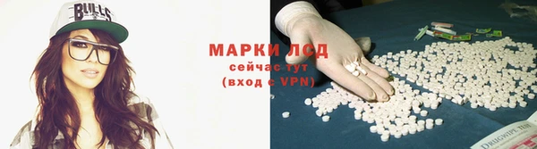 эйфоретик Бородино